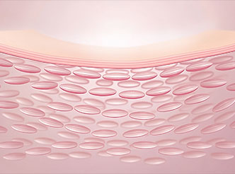 非皮肤自免领域模型数据