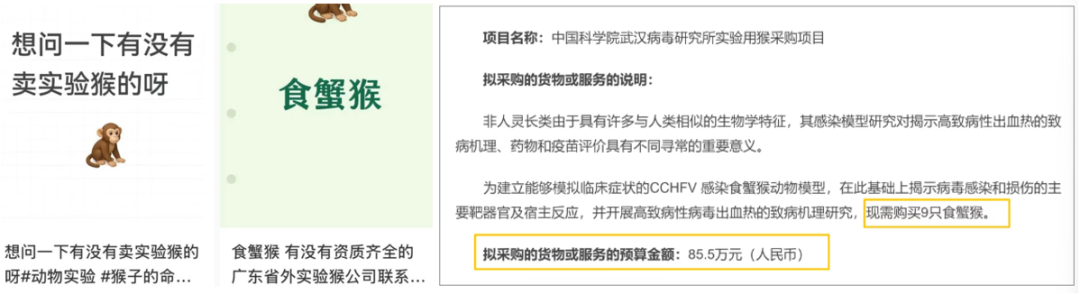抢猴就是抢订单?猴价飙至车价,这场行业阵痛将如何倒逼CRO高质量发展?