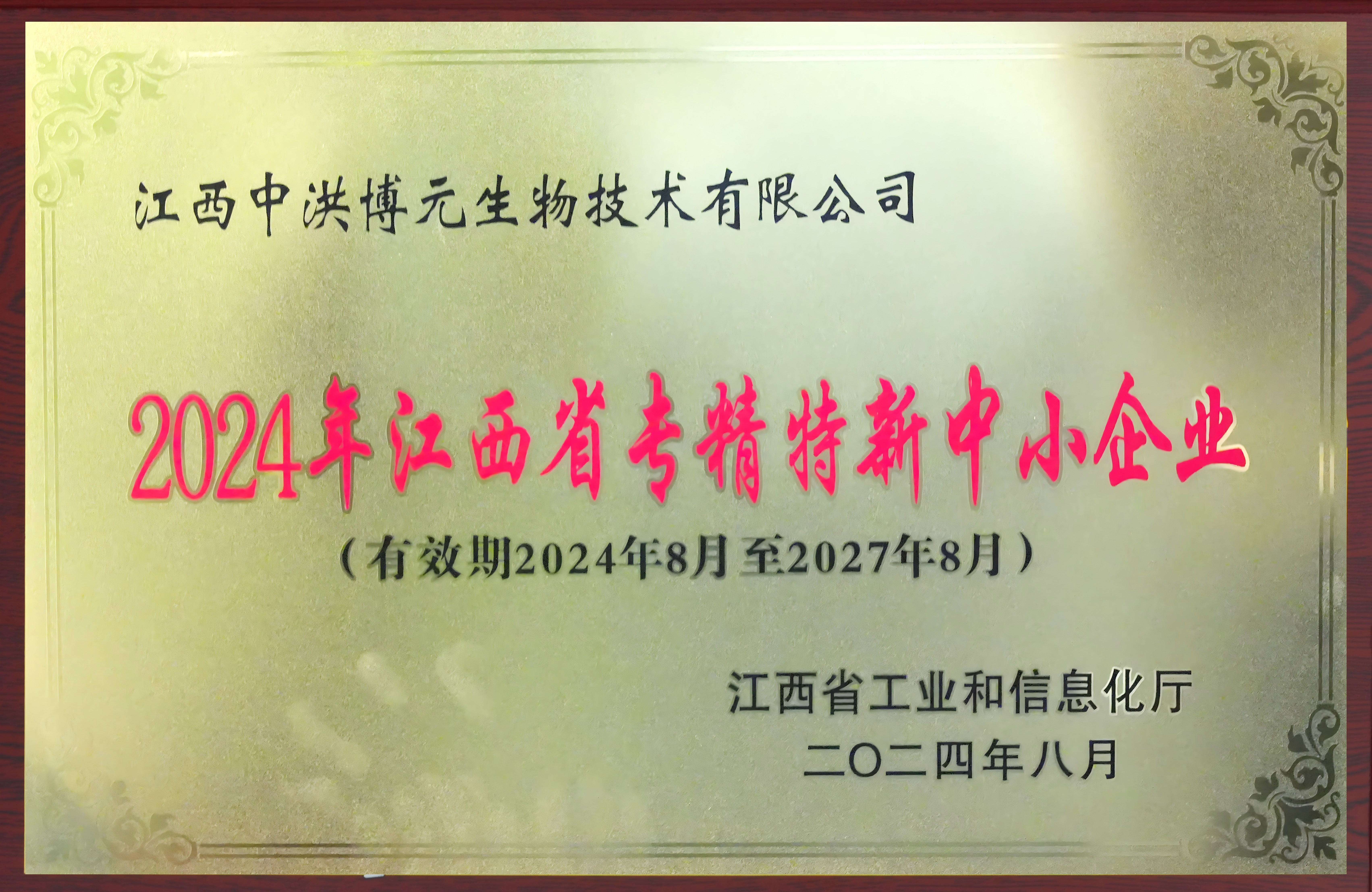 2024江西省专精特新中小企业