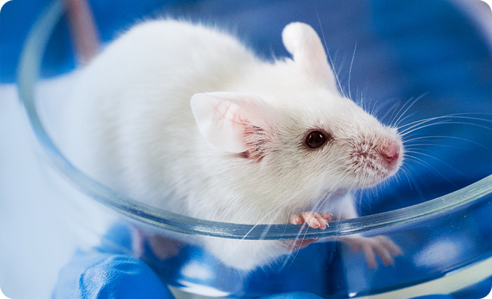 突破困局！近几年RNA小分子疗法在罕见病领域的新药研发进展